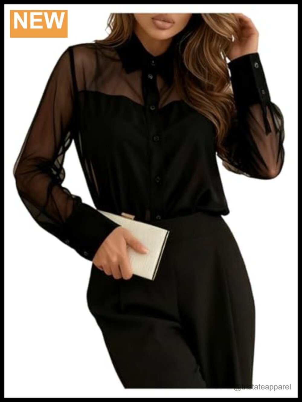 Sheer Mesh Long Sleeve Blouse Button Down Dressy Business Casual See Through Top